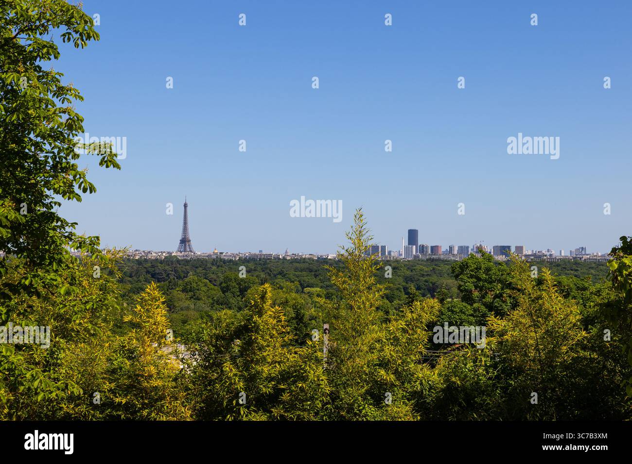 La Tour Eiffel, Paris, France Banque D'Images