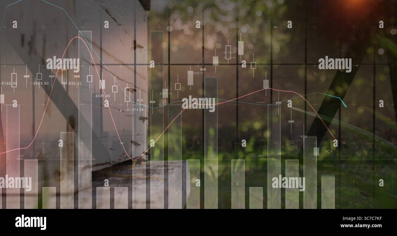 Montrant la ruche sur le stand avec les abeilles essaim entrée dans le jardin, avec recouvrement de carte financière, espace de copie Banque D'Images