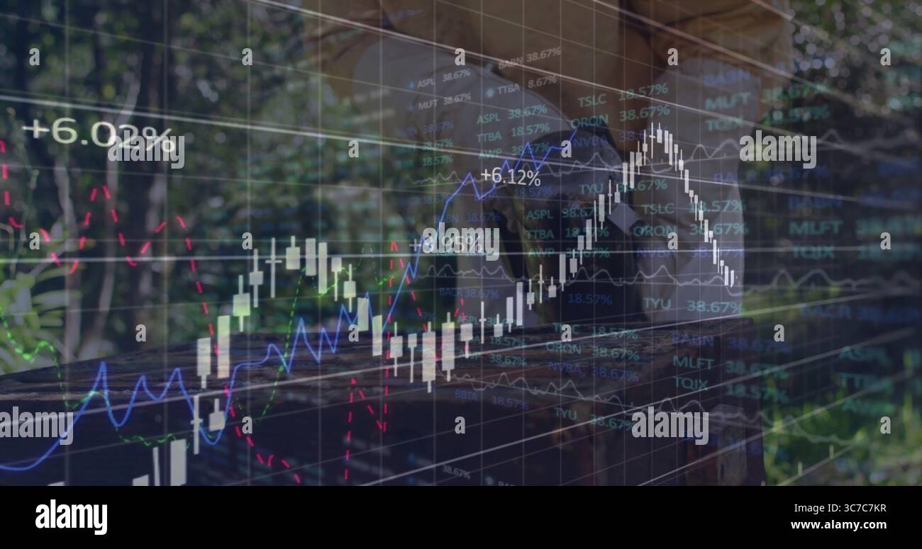 Affichage de graphique financier superposé suivi du marché au parc, avec des barres de chandelier et des lignes de tendance Banque D'Images