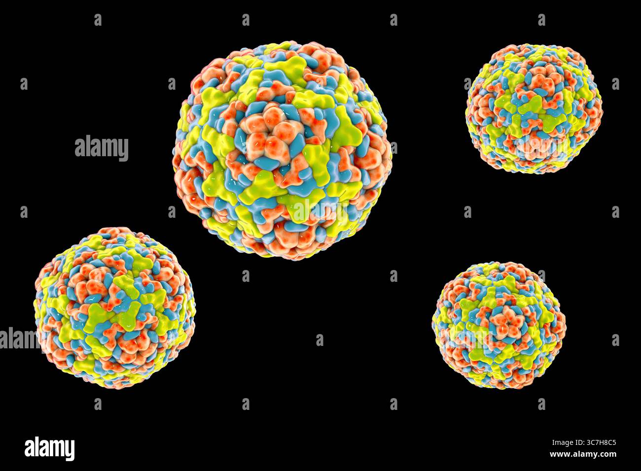 Illustration des entérovirus. Ce sont des virus à ARN (acide ribonucléique) sphériques et non enveloppés responsables de maladies comme la méningite et la myocardite. Banque D'Images