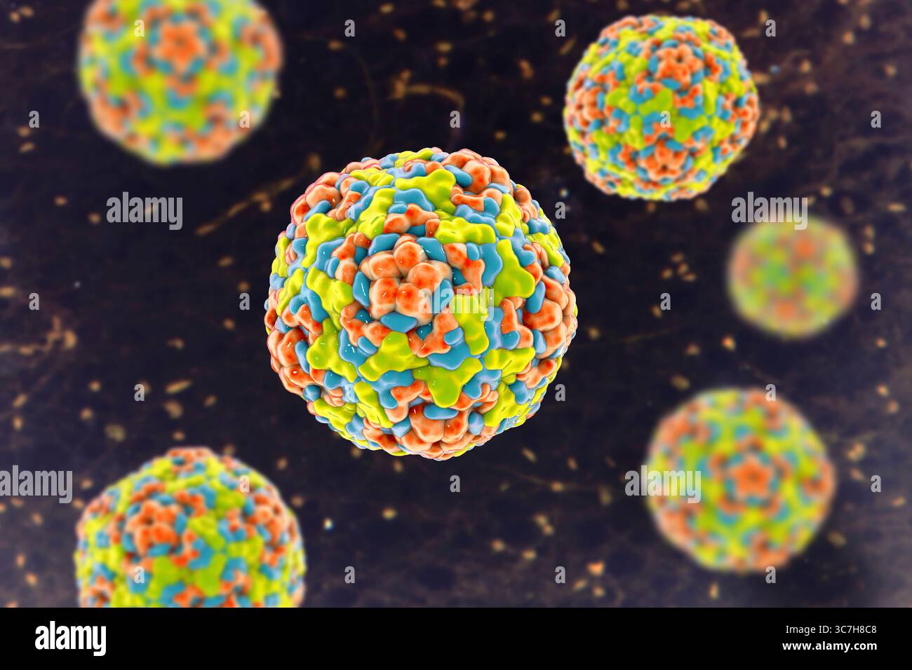 Illustration des entérovirus. Ce sont des virus à ARN (acide ribonucléique) sphériques et non enveloppés responsables de maladies comme la méningite et la myocardite. Banque D'Images