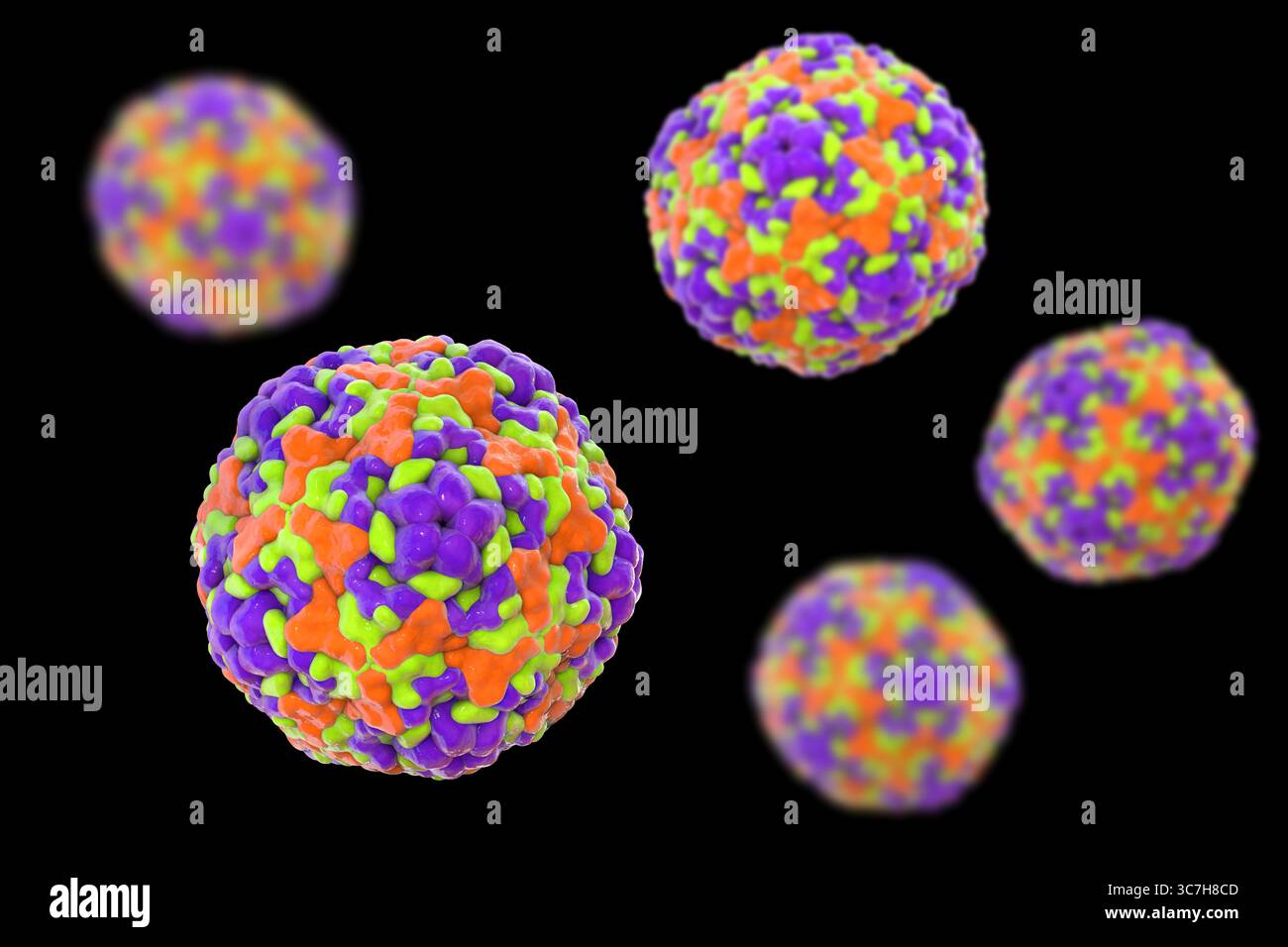 Illustration des entérovirus. Ce sont des virus à ARN (acide ribonucléique) sphériques et non enveloppés responsables de maladies comme la méningite et la myocardite. Banque D'Images