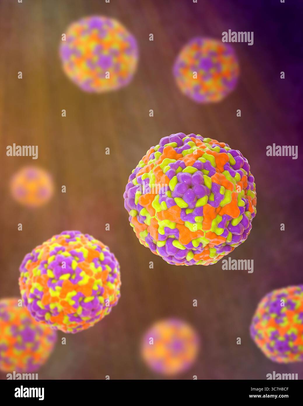 Illustration des entérovirus. Ce sont des virus à ARN (acide ribonucléique) sphériques et non enveloppés responsables de maladies comme la méningite et la myocardite. Banque D'Images