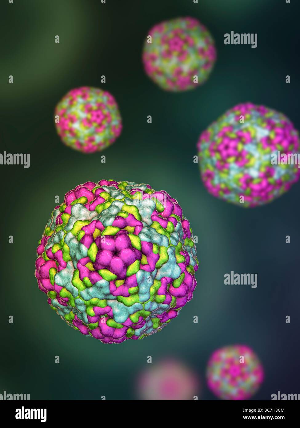 Illustration des entérovirus. Ce sont des virus à ARN (acide ribonucléique) sphériques et non enveloppés responsables de maladies comme la méningite et la myocardite. Banque D'Images
