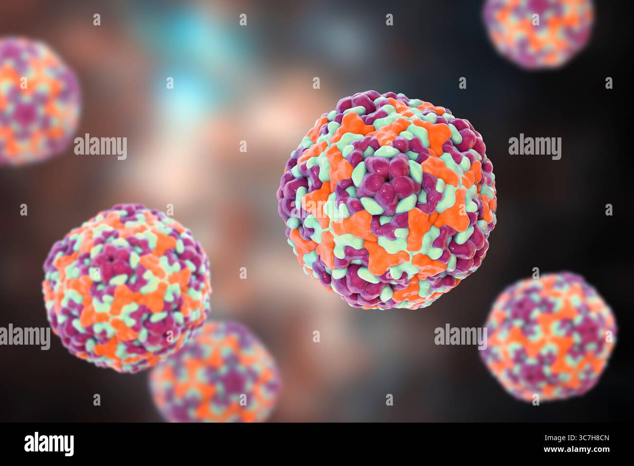Illustration des entérovirus. Ce sont des virus à ARN (acide ribonucléique) sphériques et non enveloppés responsables de maladies comme la méningite et la myocardite. Banque D'Images