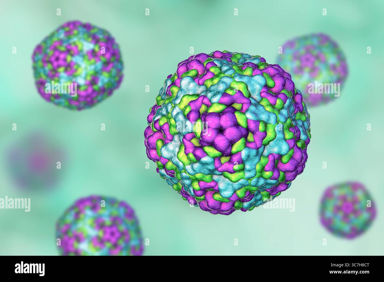 Illustration des entérovirus. Ce sont des virus à ARN (acide ribonucléique) sphériques et non enveloppés responsables de maladies comme la méningite et la myocardite. Banque D'Images