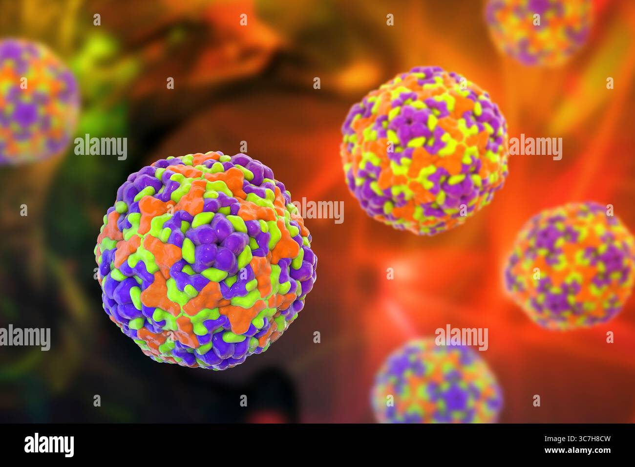 Illustration des entérovirus. Ce sont des virus à ARN (acide ribonucléique) sphériques et non enveloppés responsables de maladies comme la méningite et la myocardite. Banque D'Images