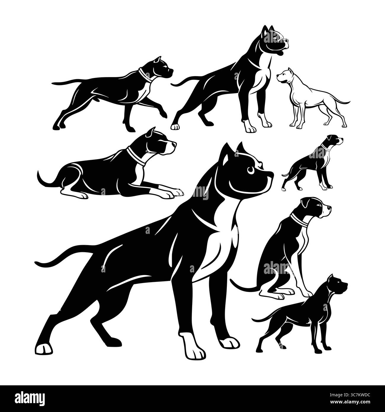 Ensemble d'illustrations de chien noir et blanc américain Staffordshire Terrier dans diverses poses Illustration de Vecteur
