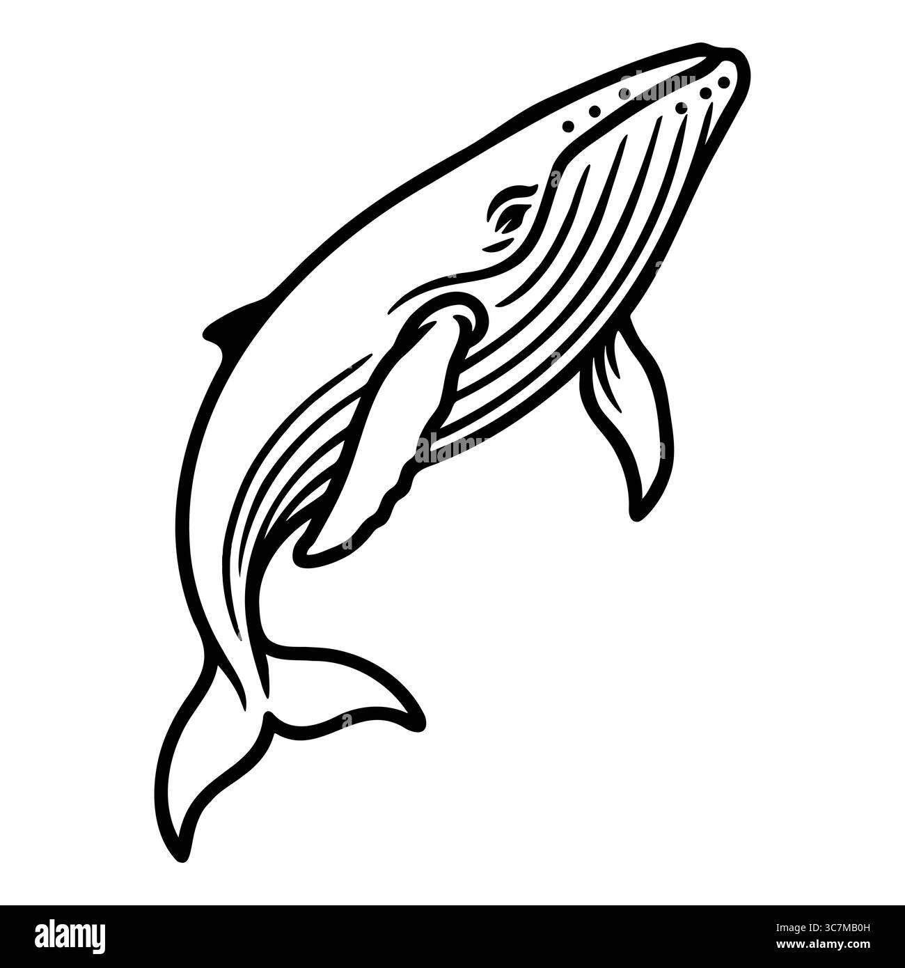 Vue d'art de baleine audacieuse Illustration de Vecteur