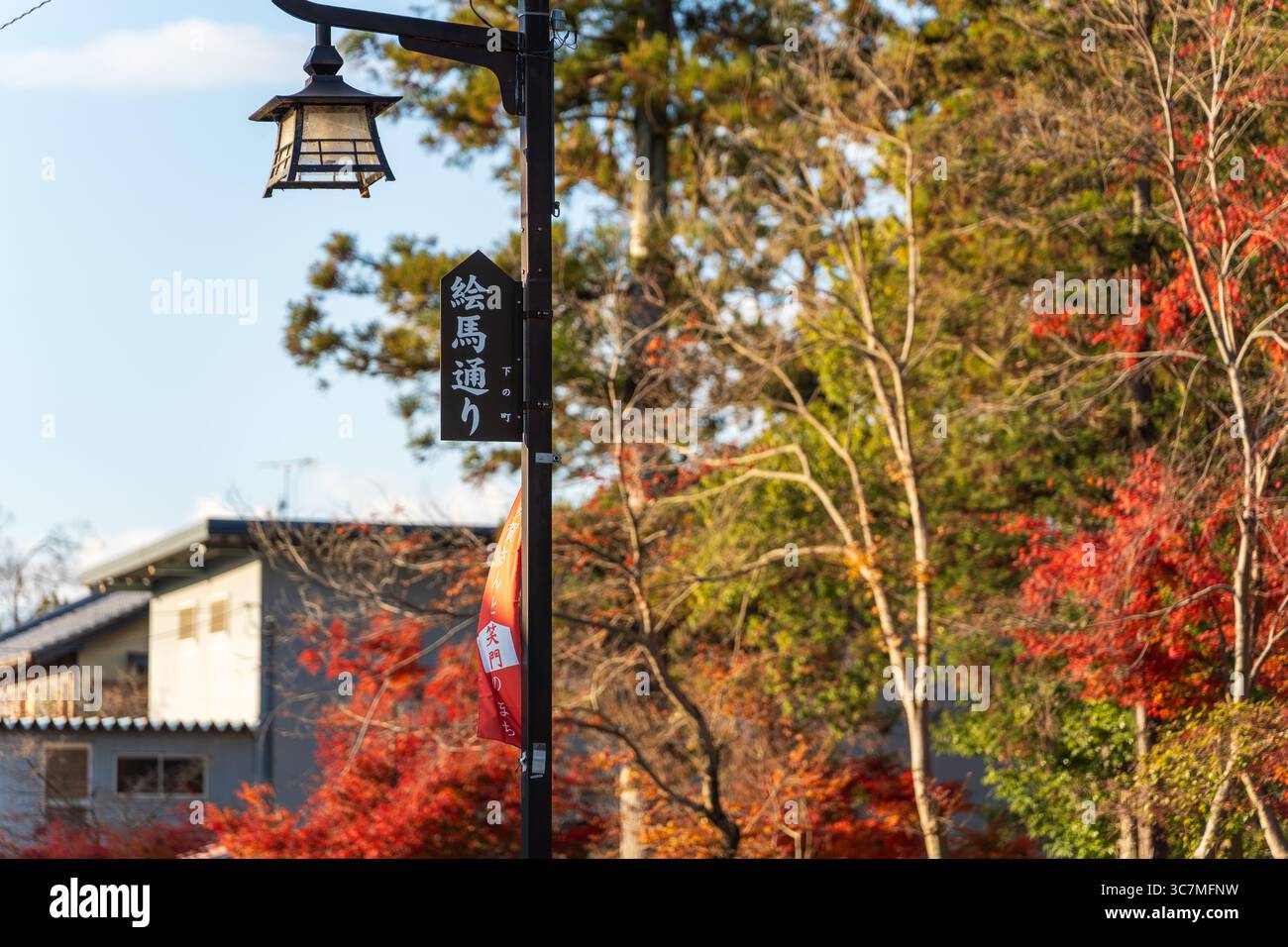 Taga, Shiga, Japon. Le traditionnel Ema-dori, l'approche principale (Omotesando) du Grand Sanctuaire Taga Taisha, bordé de vitrines historiques. Banque D'Images
