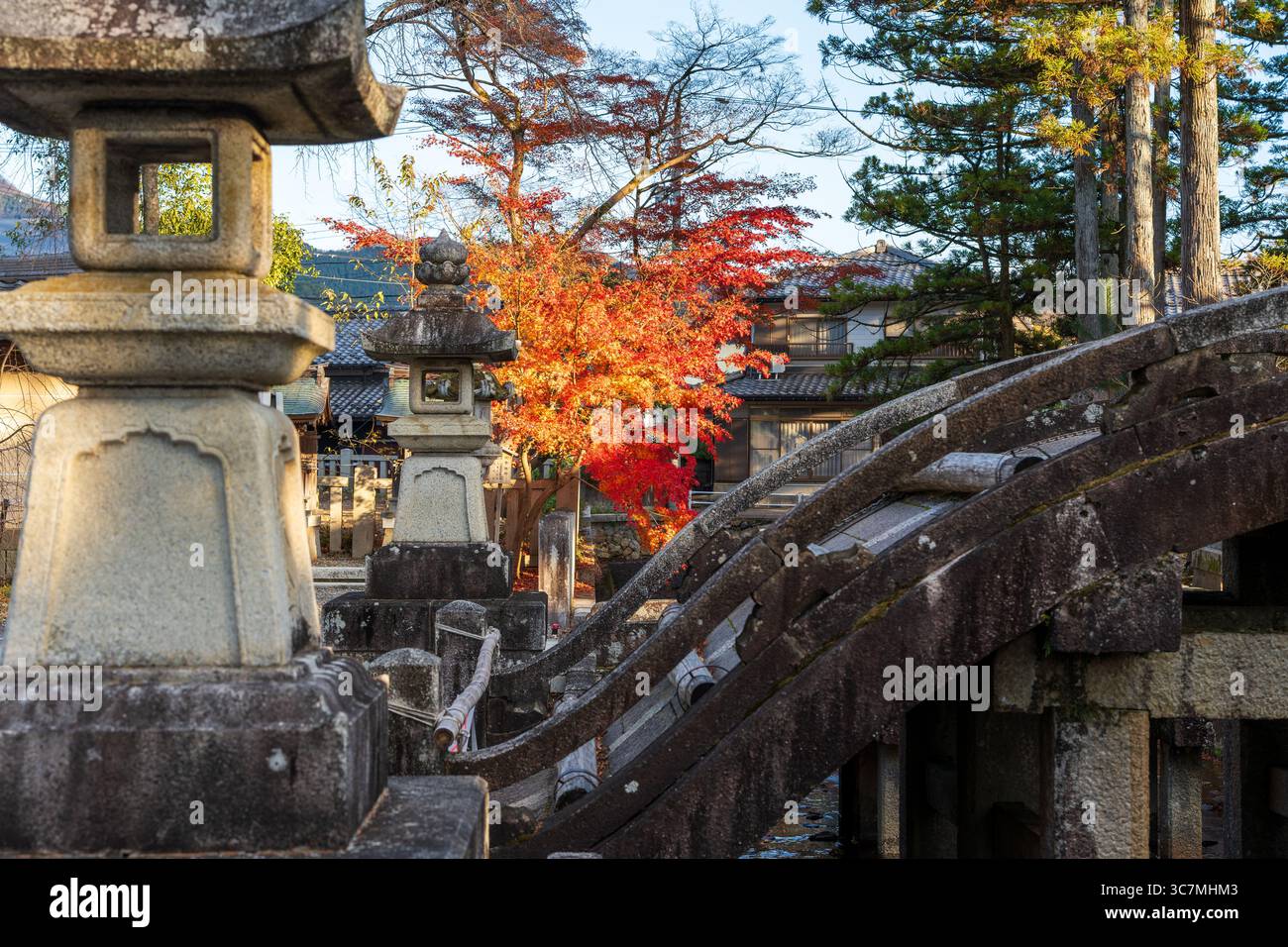 Taga, Shiga, Japon. L'historique Taga Taisha Grand Sanctuaire en automne. Banque D'Images