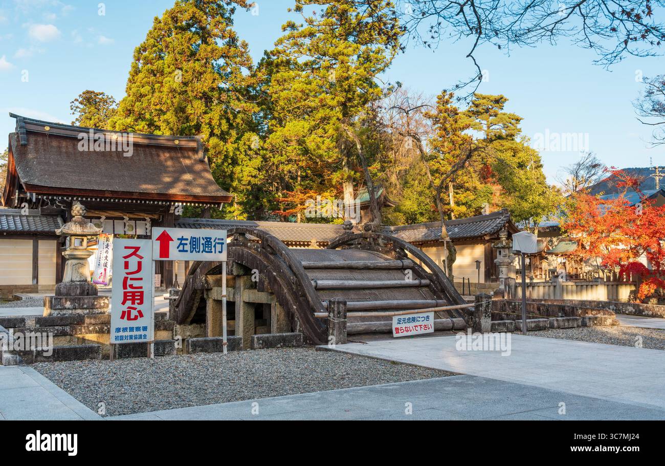 Taga, Shiga, Japon. L'historique Taga Taisha Grand Sanctuaire en automne. Banque D'Images