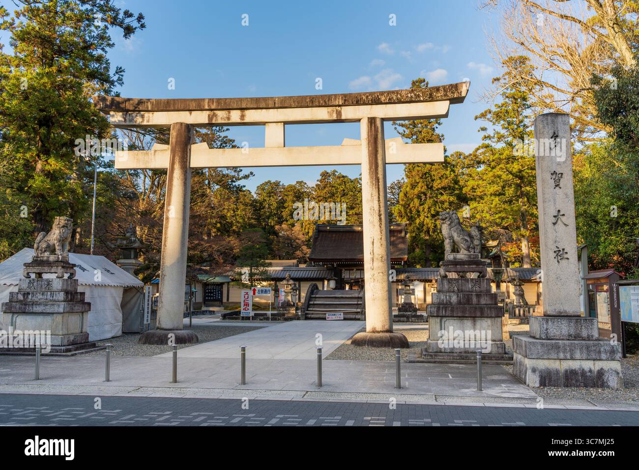 Taga, Shiga, Japon. L'historique Taga Taisha Grand Sanctuaire en automne. Banque D'Images