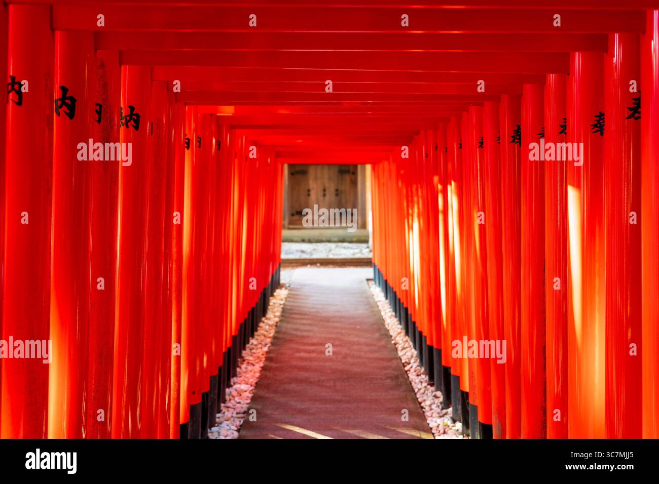 Un tunnel mystique de porte torii rouge sacré avec une lumière et des ombres dramatiques au sanctuaire Kanesaki Inari, une filiale de Taga Taisha. Shiga, Japon. Japane Banque D'Images