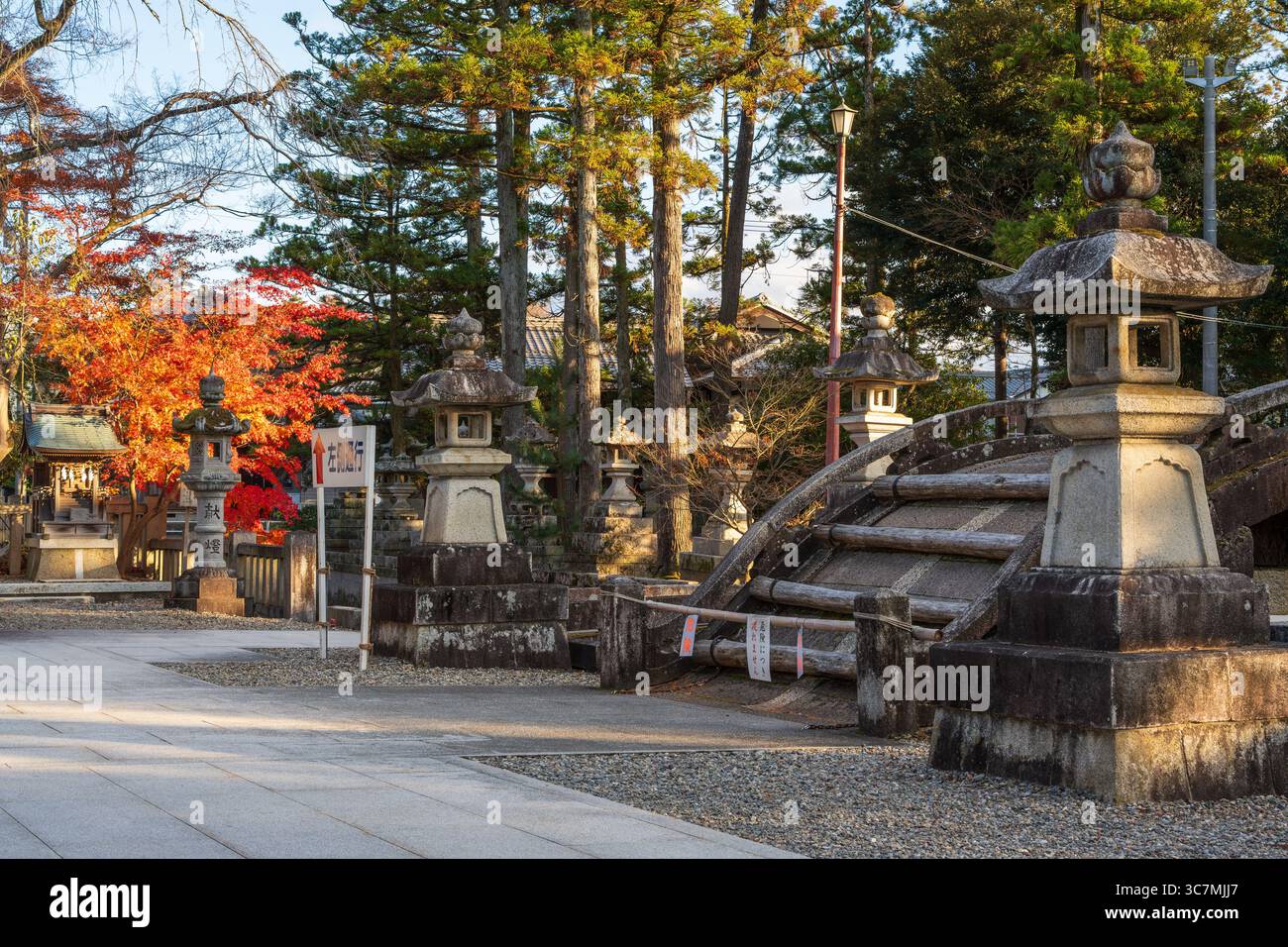 Taga, Shiga, Japon. L'historique Taga Taisha Grand Sanctuaire en automne. Banque D'Images