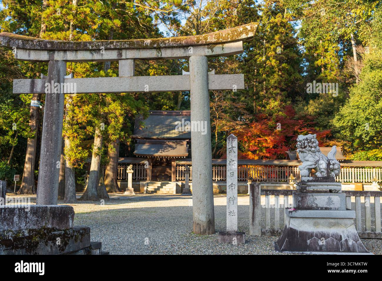 Taga, Shiga, Japon. L'ancien sanctuaire Hyuga (Hyuga Jinja), un sanctuaire annexe tranquille et rustique situé dans le Grand Sanctuaire Taga Taisha Banque D'Images