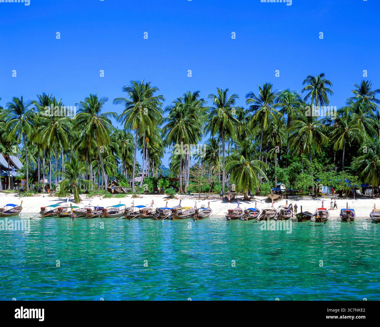 Bateaux thaïlandais à longue queue, plage de ton SAI, Kho Phi Phi Don, îles Phi Phi, province de Krabi, Thaïlande Banque D'Images