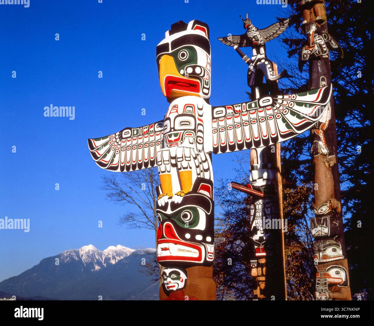 Totems dans la région de Brockton Point, le parc Stanley, Vancouver, British Columbia, Canada Banque D'Images