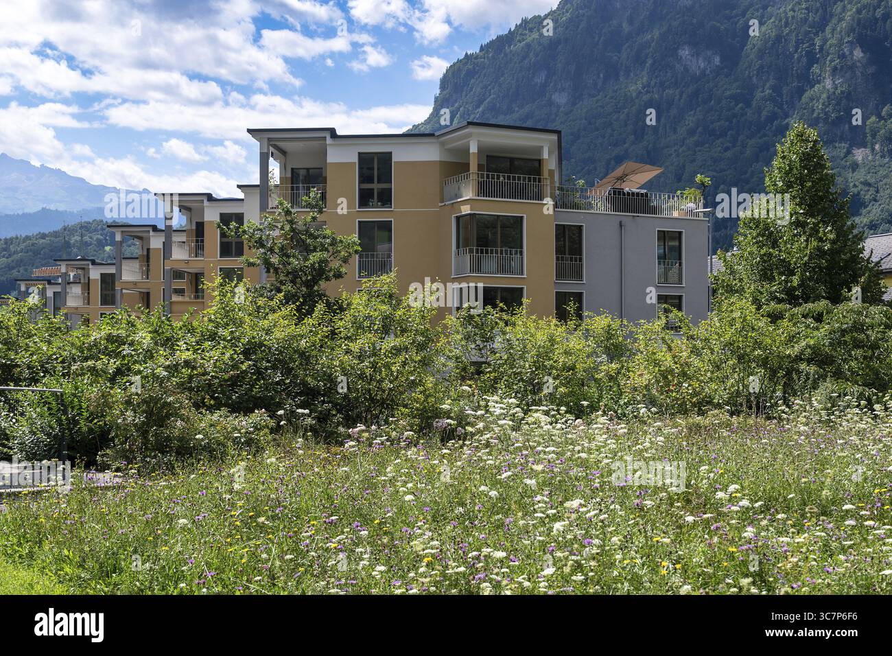Développement de maisons multifamiliales, Glaris, Suisse Banque D'Images