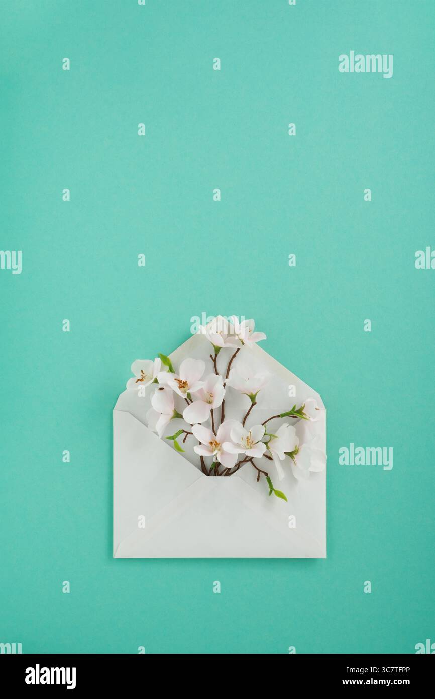 Fleurs de pomme blanche dans une enveloppe blanche sur un fond vert pastel. Vertical, espace pour votre texte. Banque D'Images