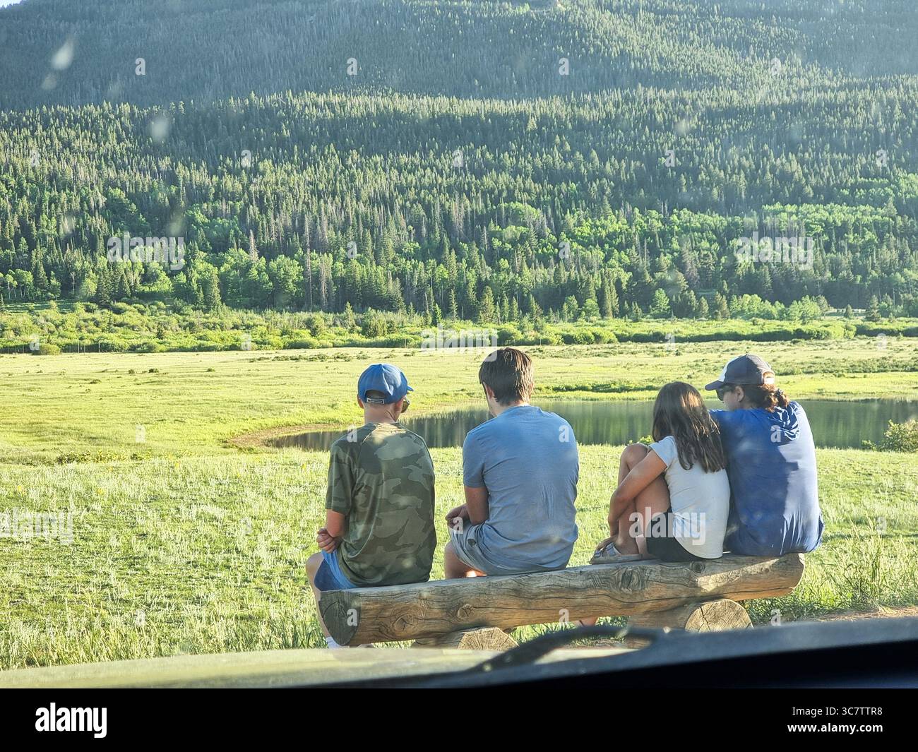 Quatre enfants dans une rangée assis sur un banc en bois, surplombant la nature verdoyante (champ d'herbe et arbres / forêt), vu de l'arrière Banque D'Images