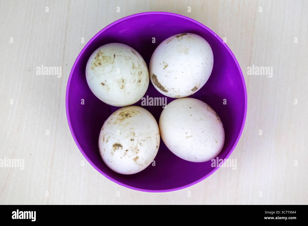 Oeufs de canard crus dans un bol sur un fond en bois. Les œufs de canard sont une excellente source de nutrition. Concept d'alimentation saine. Banque D'Images