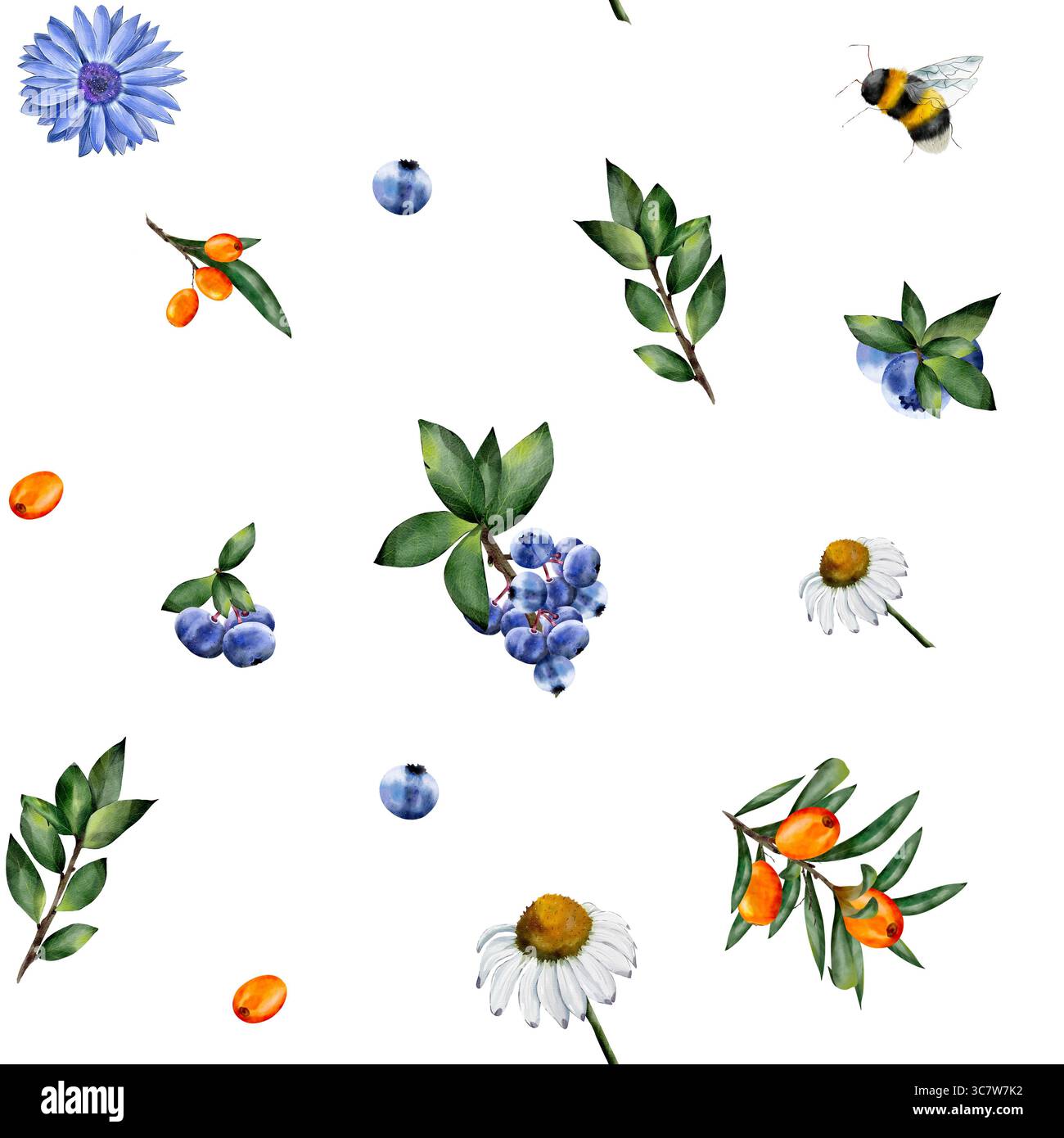 Motif aquarelle sans couture avec des myrtilles, argousier, chrysanthème, fleurs de camomille, feuilles vertes, et des abeilles sur fond blanc. Parfait pour les textiles, les papiers peints et la conception d'emballage Banque D'Images