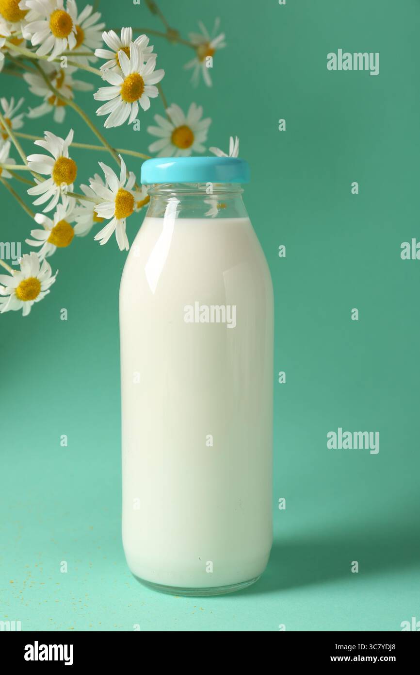Lait frais en bouteille en verre et fleurs de camomille sur fond turquoise. Produit laitier Banque D'Images