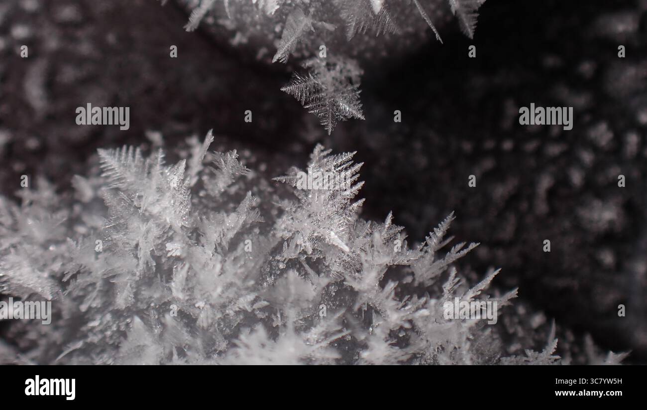 Croissance des cristaux de glace Banque D'Images
