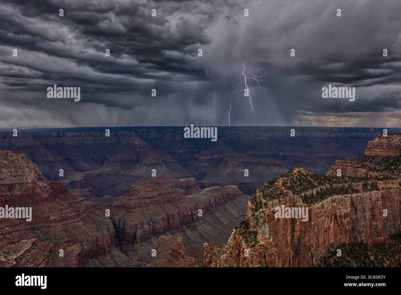 Orages et foudre approchant de la rive sud du Grand Canyon vus du Cap Royal sur la rive nord, Arizona, États-Unis Banque D'Images
