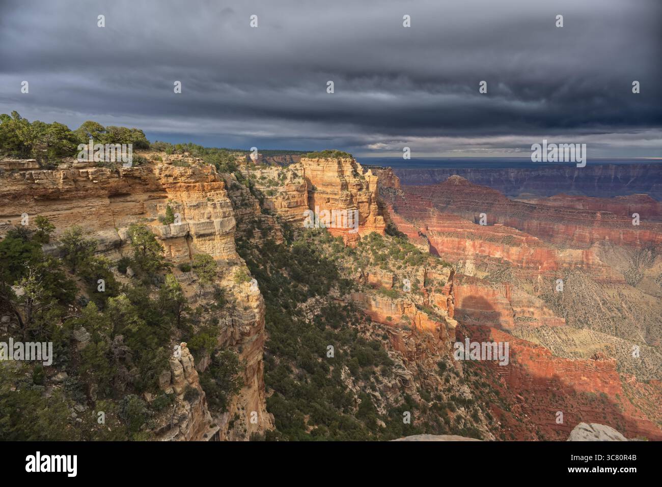 Ciel gris orageux au-dessus du Grand Canyon vu depuis le Walhalla Overlook sur le plateau nord, Arizona, États-Unis Banque D'Images