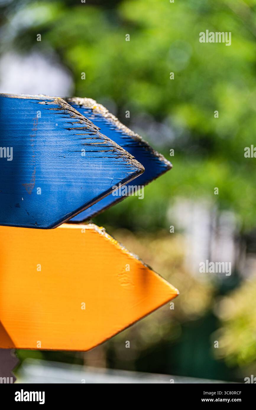 Gros plan de panneaux directionnels en bois vierges bleus et jaunes altérés dans une forêt Banque D'Images
