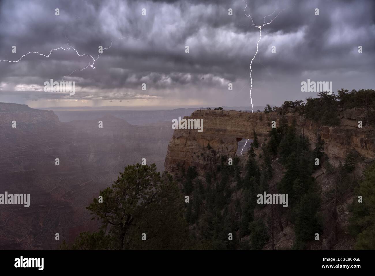Foudre près de Angels Window à Cape Royal sur le plateau nord du Grand Canyon, Arizona, États-Unis Banque D'Images