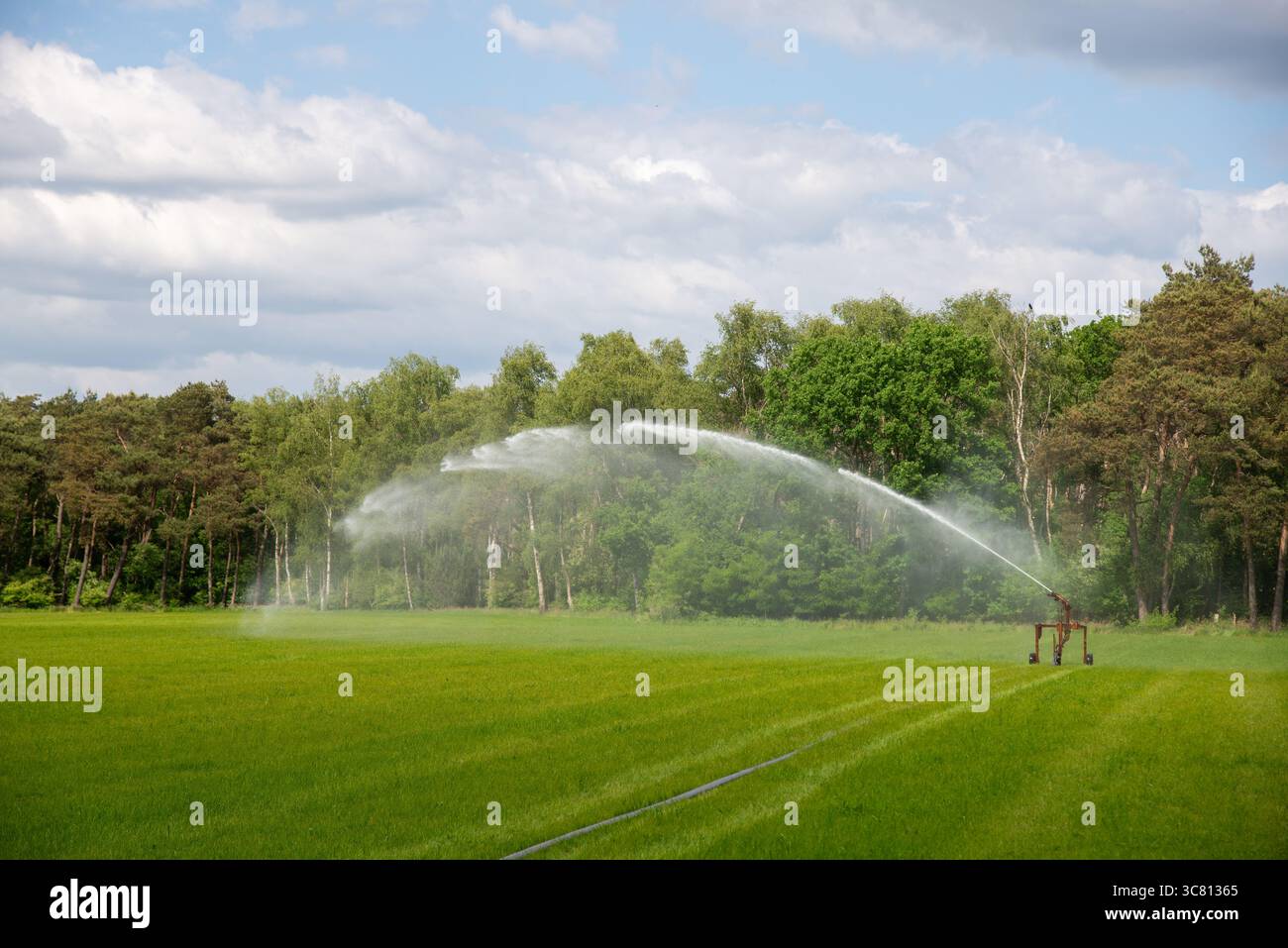 Système de gicleurs pour l'eau en période sèche sur les terres agricoles à Gelderland, Hollande Banque D'Images