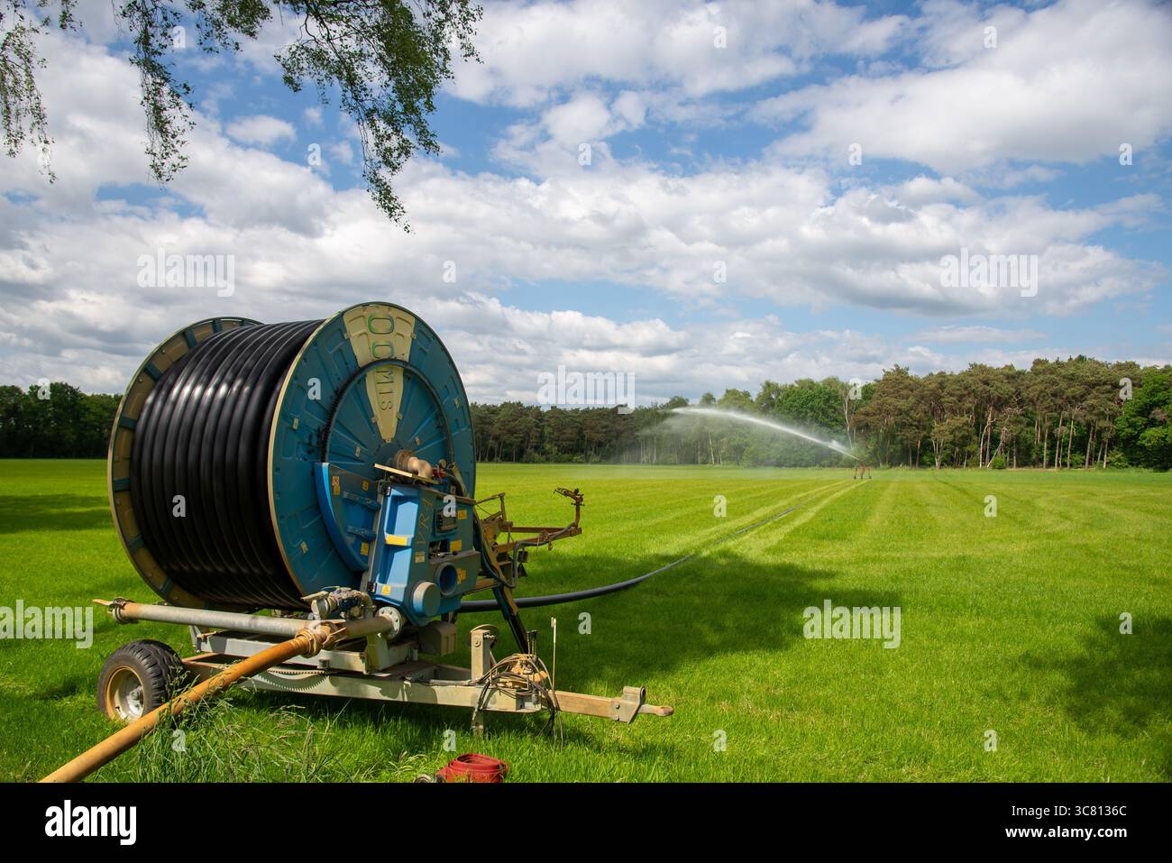Système de gicleurs pour l'eau en période sèche sur les terres agricoles à Gelderland, Hollande Banque D'Images