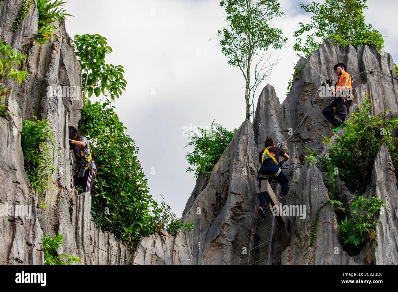 Singapour 21 juin 2025 : les touristes sont sportifs grimpant autour des karsts de Rainforest Wild ASIA pour le singe feuille de François, le 5ème zoo de Singapour, Banque D'Images