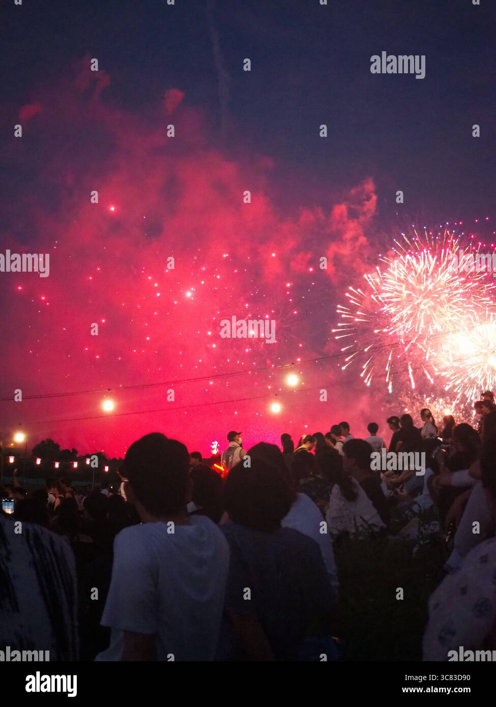 Foules regardant des feux d'artifice vibrants dans la fumée rouge au Itabashi Fireworks Festival à Tokyo, au Japon Banque D'Images