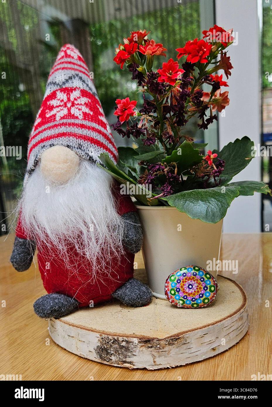 Un gnome festif avec un chapeau tricoté de style nordique se trouve à côté d'un pot de fleurs rouges kalanchoe et d'une pierre colorée de mandala peinte à la main. - Image de stock capturée avec un smartphone