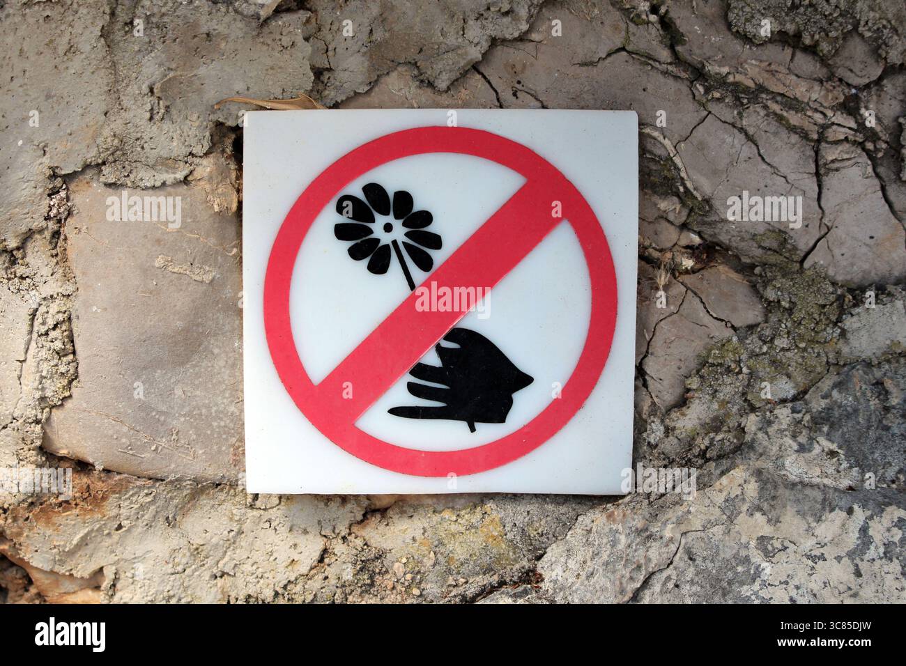Un panneau rectangulaire avec un cercle rouge et une barre oblique superpose l'image d'une main cueillant une fleur, apposée sur un mur de pierre texturé pour empêcher l'enlèvement Banque D'Images