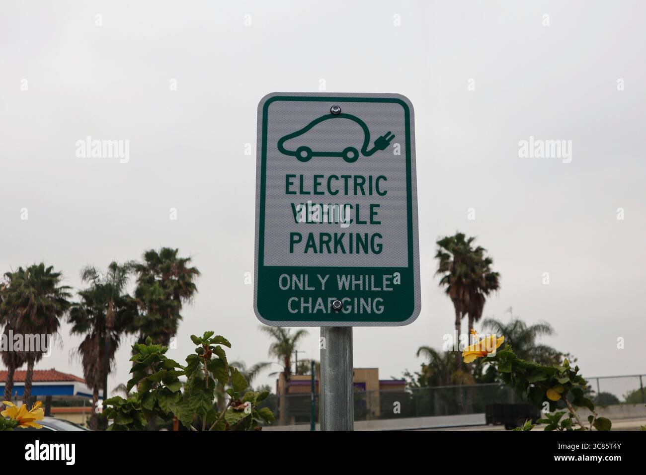 Panneau de stationnement de véhicules électriques dans un parking extérieur avec des palmiers et des plantes en arrière-plan, juin 2025 Banque D'Images