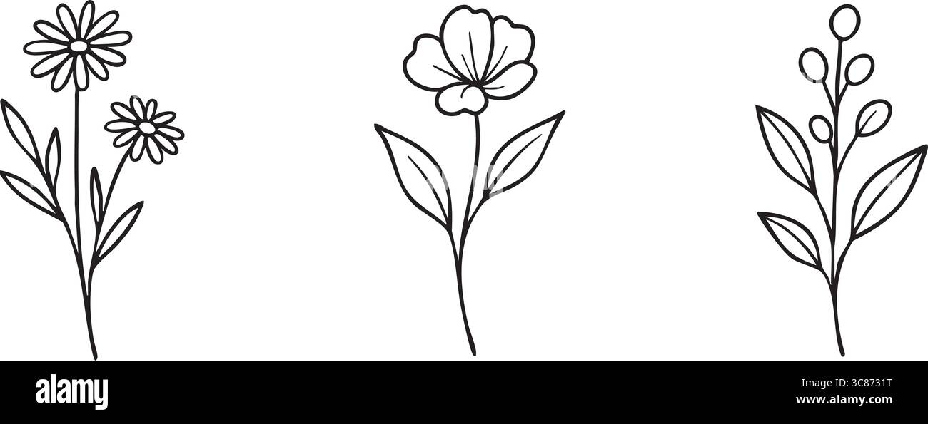 Dessins au trait délicats de trois brins de fleurs sauvages différents avec des bourgeons et des feuilles. Illustration de Vecteur