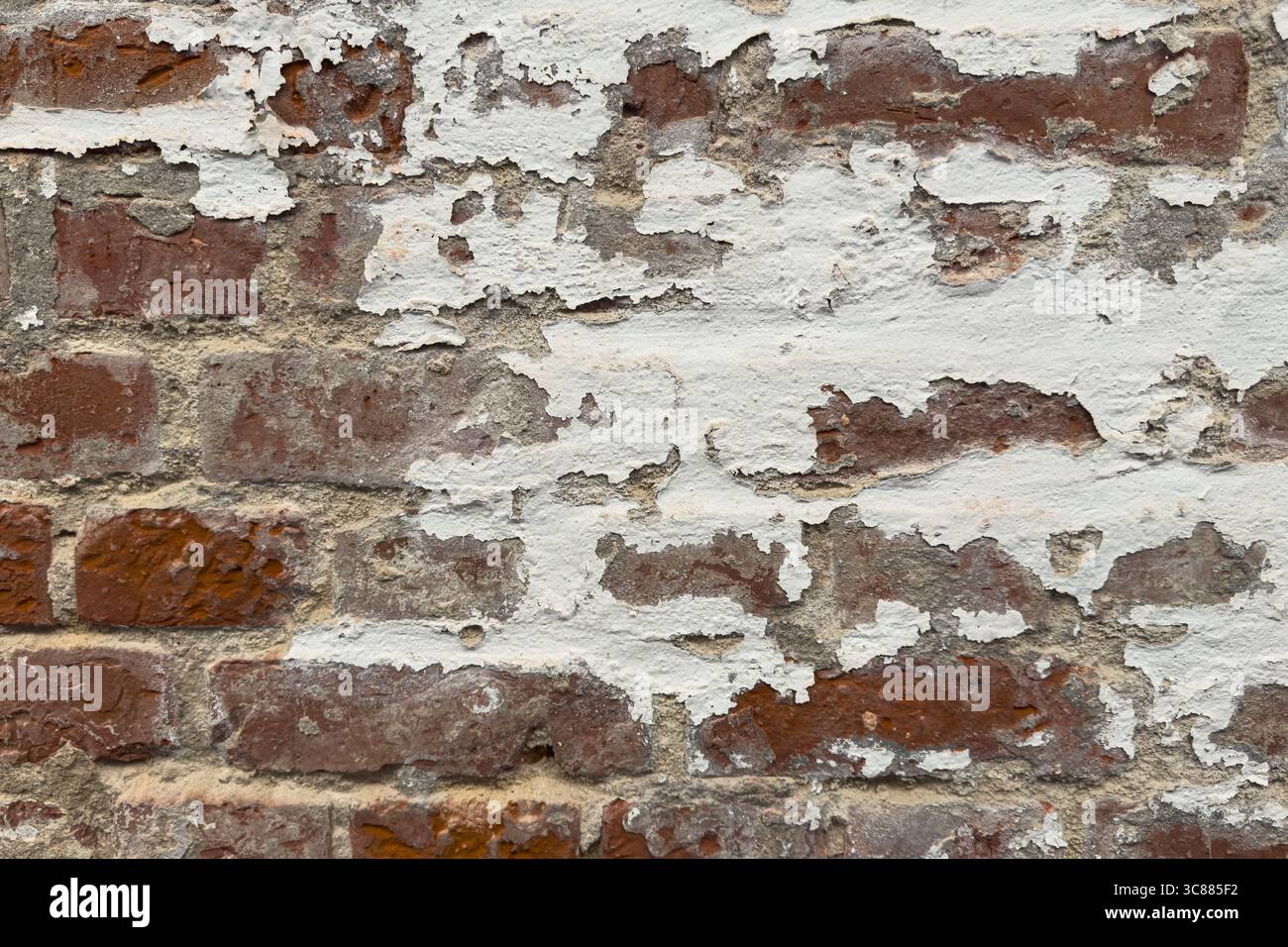 La peinture blanche se décollant de la brique rouge altérée sur un buidling médiéval crée une plaque de fond texturée intéressante. Banque D'Images