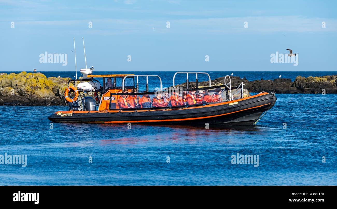 Un bateau gonflable à coque rigide transportant des passagers pour un voyage à l'île de May, en Écosse, au Royaume-Uni Banque D'Images
