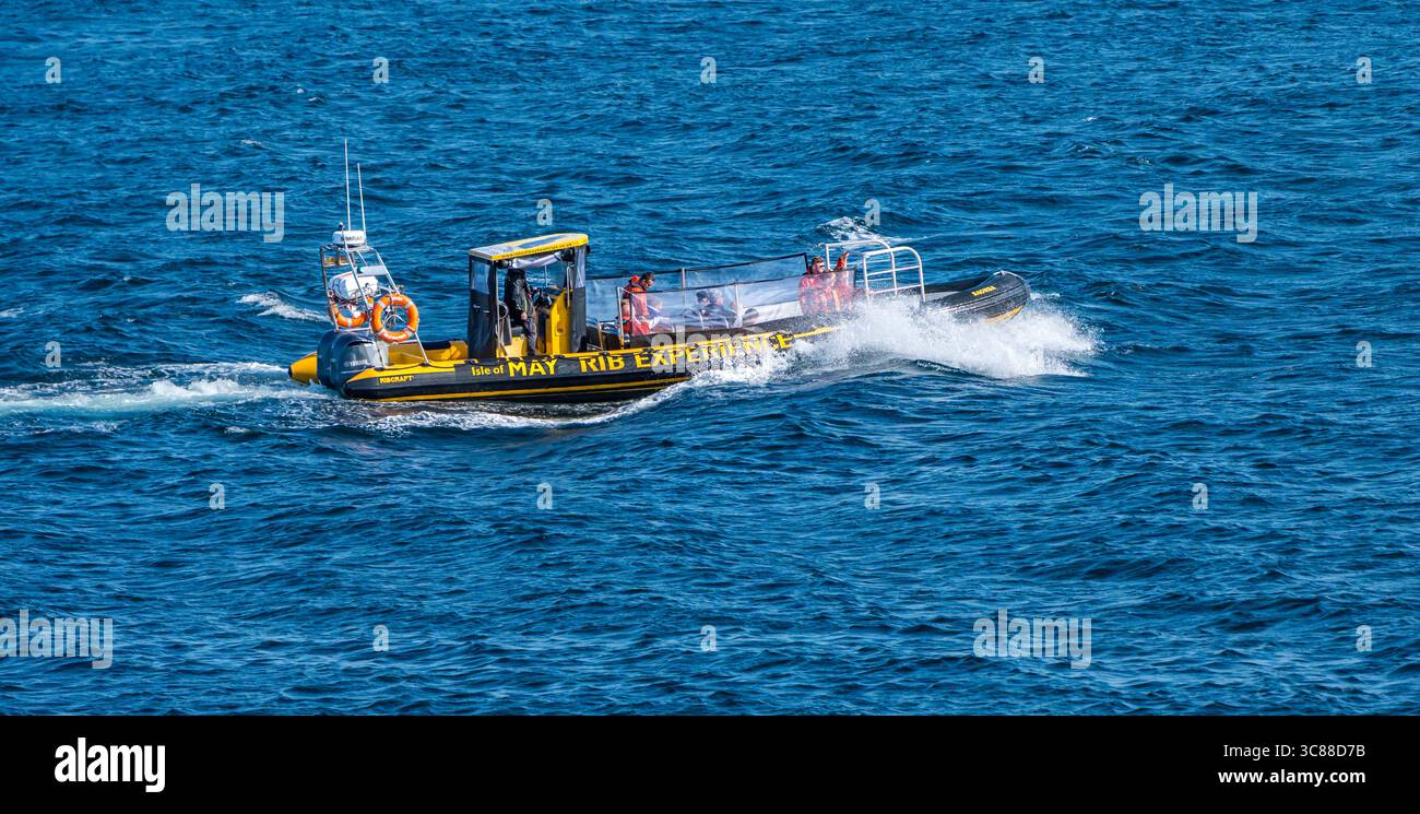 Un bateau gonflable à coque rigide transportant des passagers pour un voyage à l'île de May, en Écosse, au Royaume-Uni Banque D'Images