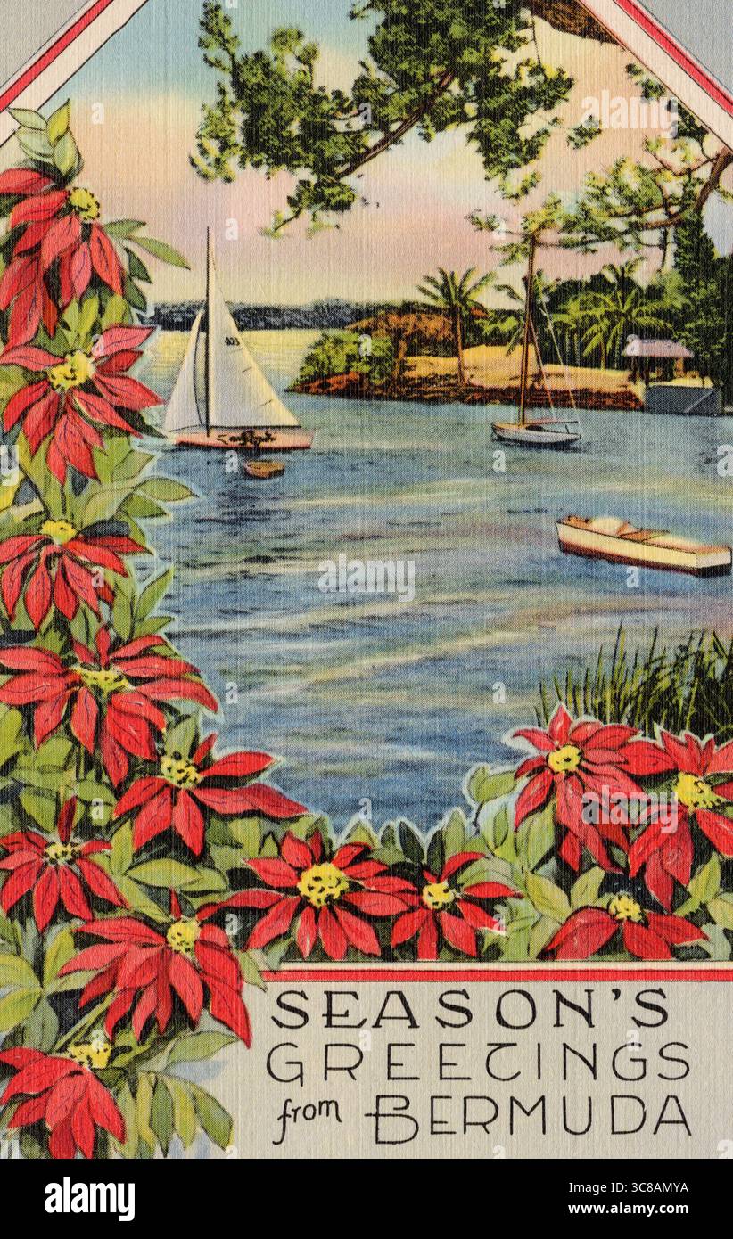 Season's Greetings from Bermuda, carte postale en lin des années 1930 environ. Banque D'Images