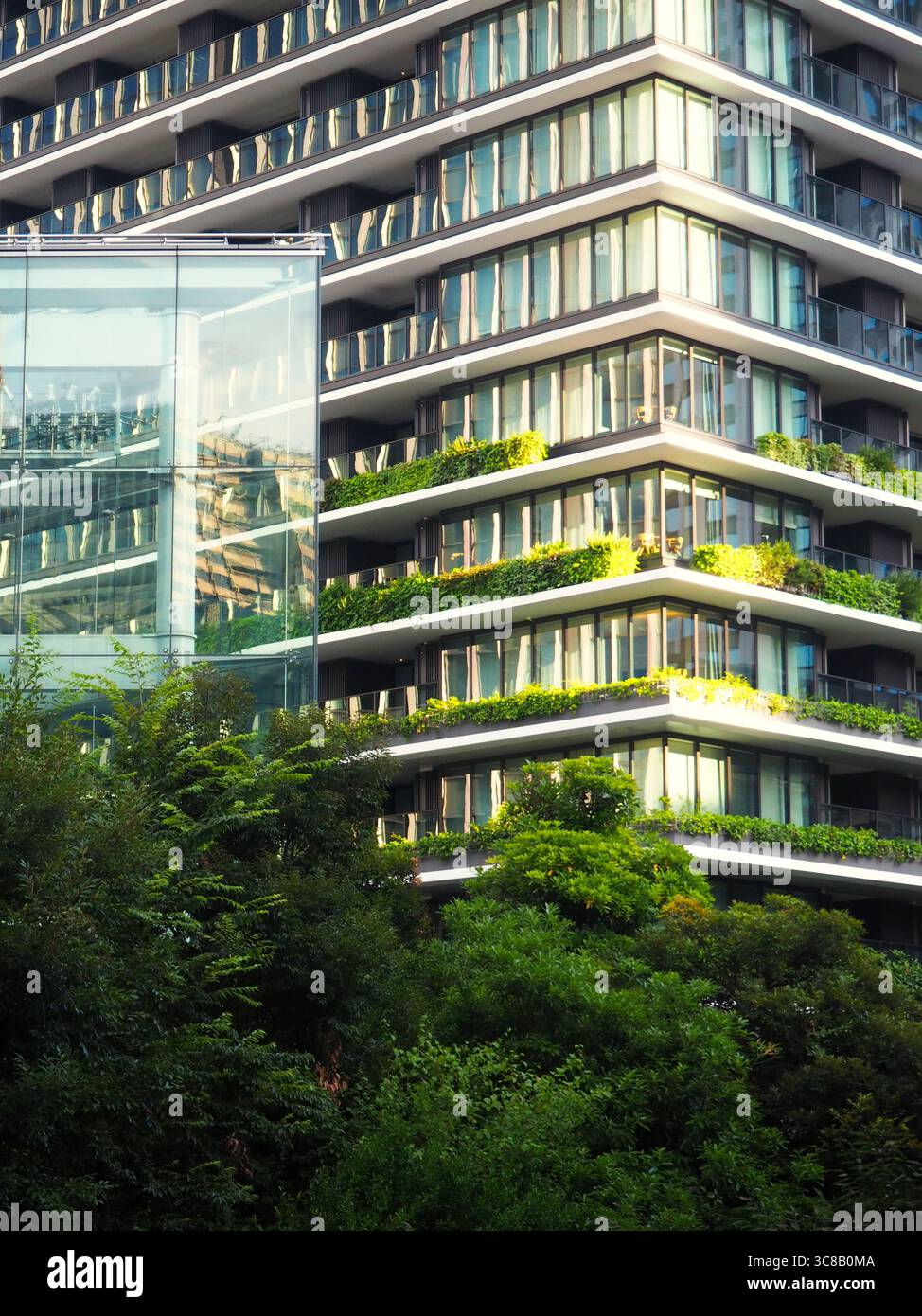 Lumière du soleil sur un bâtiment durable moderne avec verdure et façade en verre à Toranomon, Tokyo, Japon Banque D'Images