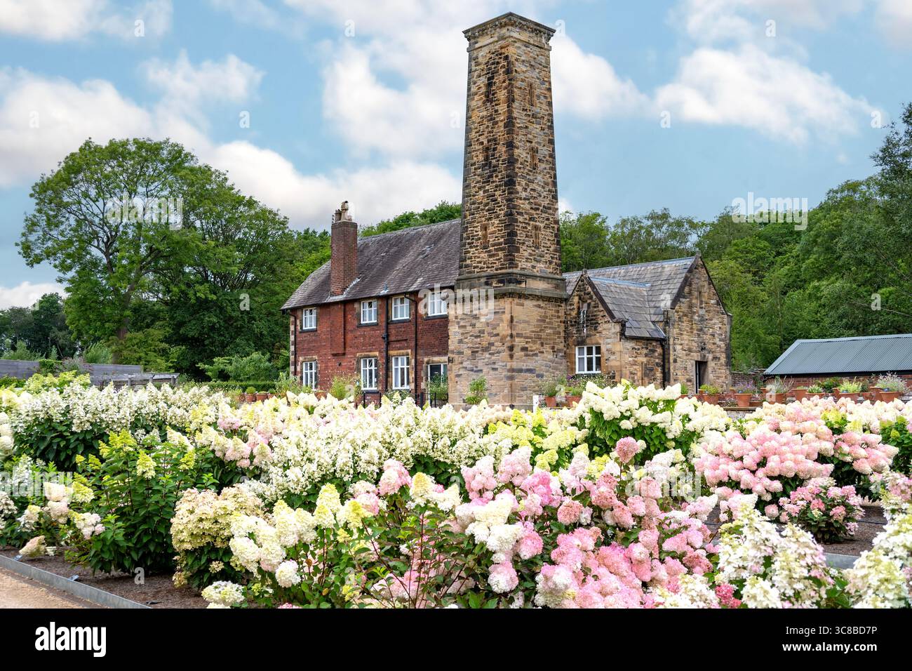 Jardin à RHS Bridgewater, Worsley, Lancashire, Angleterre Banque D'Images