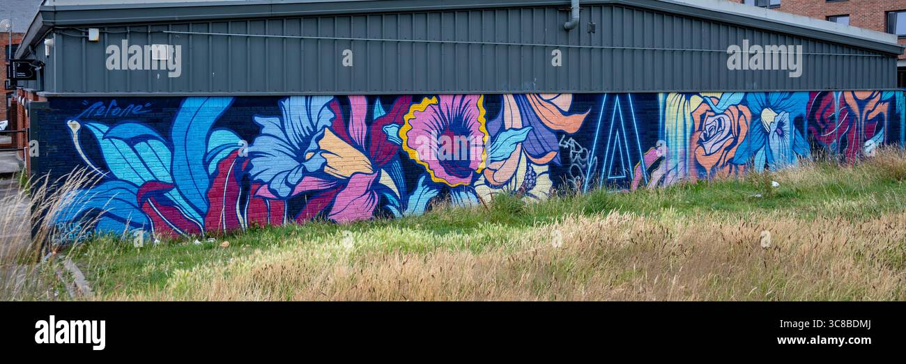 Street Art par plus Srapec, Liverpool, Lancashire, Angleterre Banque D'Images