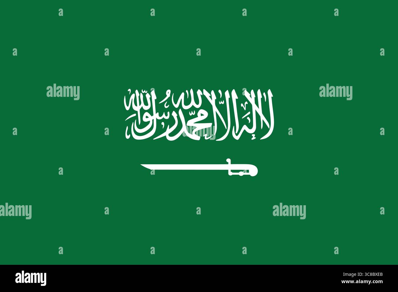 Image haute résolution du drapeau saoudien. Illustration de Vecteur