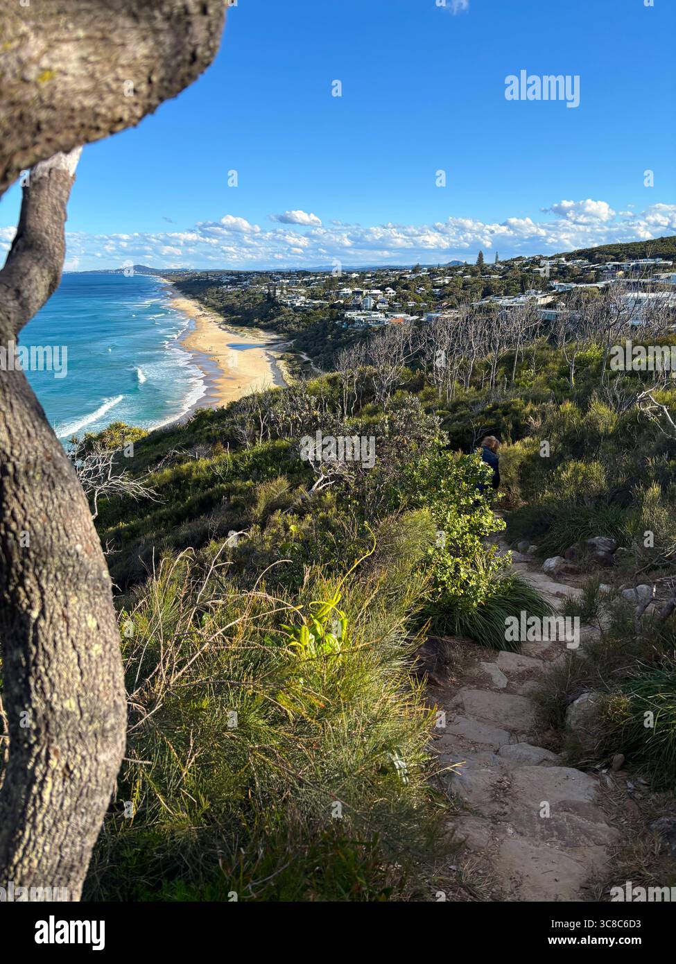 Vue jusqu'à Sunshine Beach depuis le sentier côtier à travers le parc national de Noosa, côte de S‌unshine, Queensland, Australie Banque D'Images